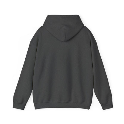 plain hoodies