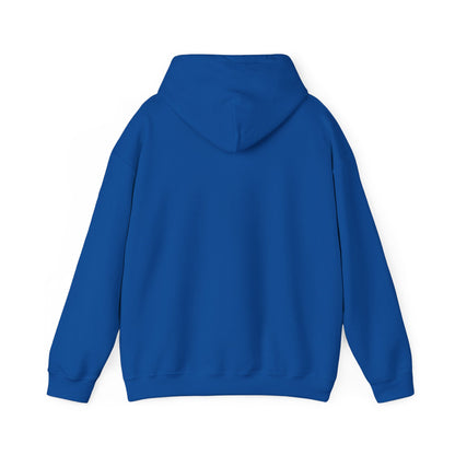plain hoodies